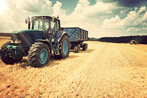 Agriculture